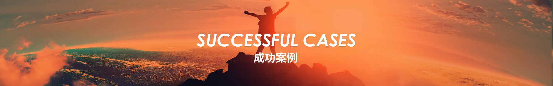 为电脑品牌提供VMI-HUB服务