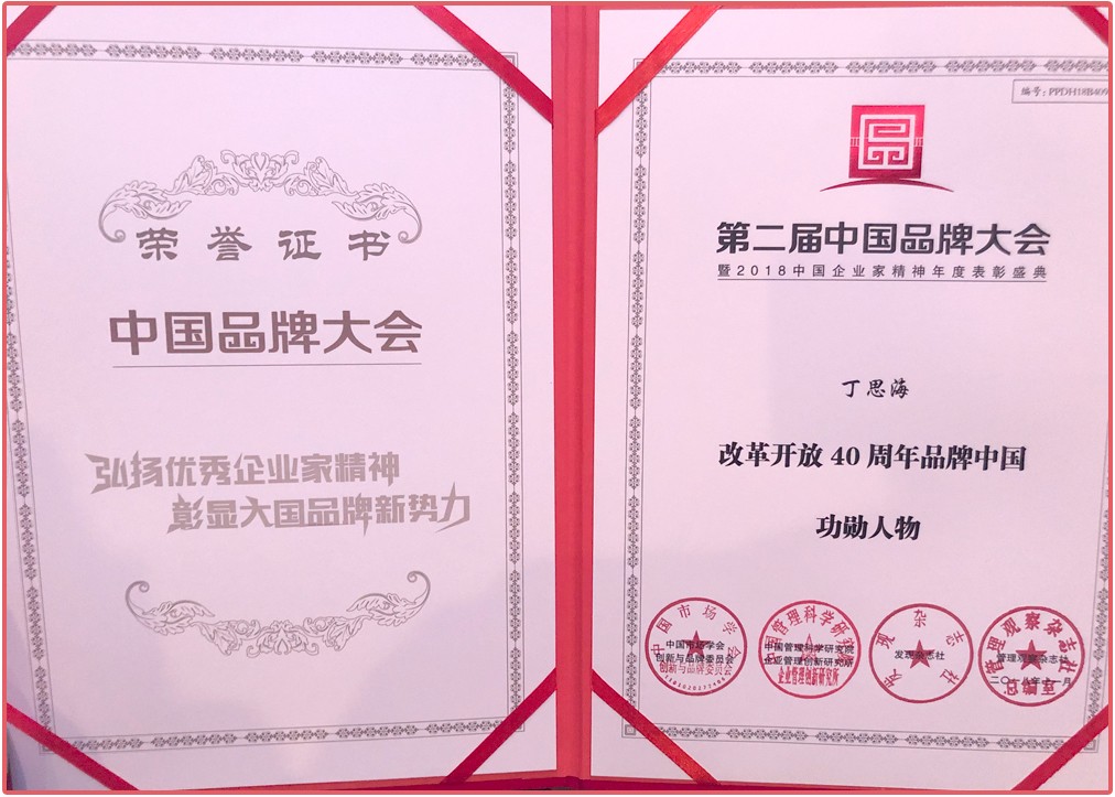 丁总-改革开放40周年品牌中国功勋人物 