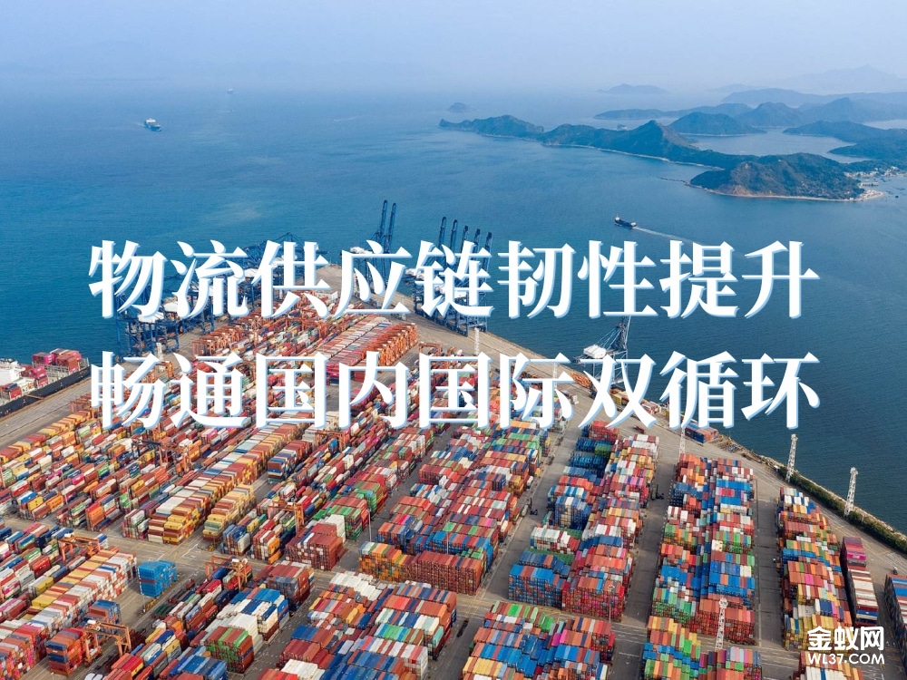 中国物流：物流供应链韧性提升，畅通国内国际双循环